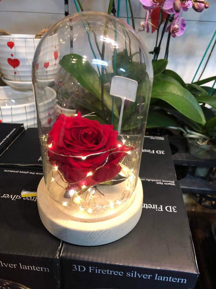 Le cadeau intemporel pour déclarer votre amour éternel