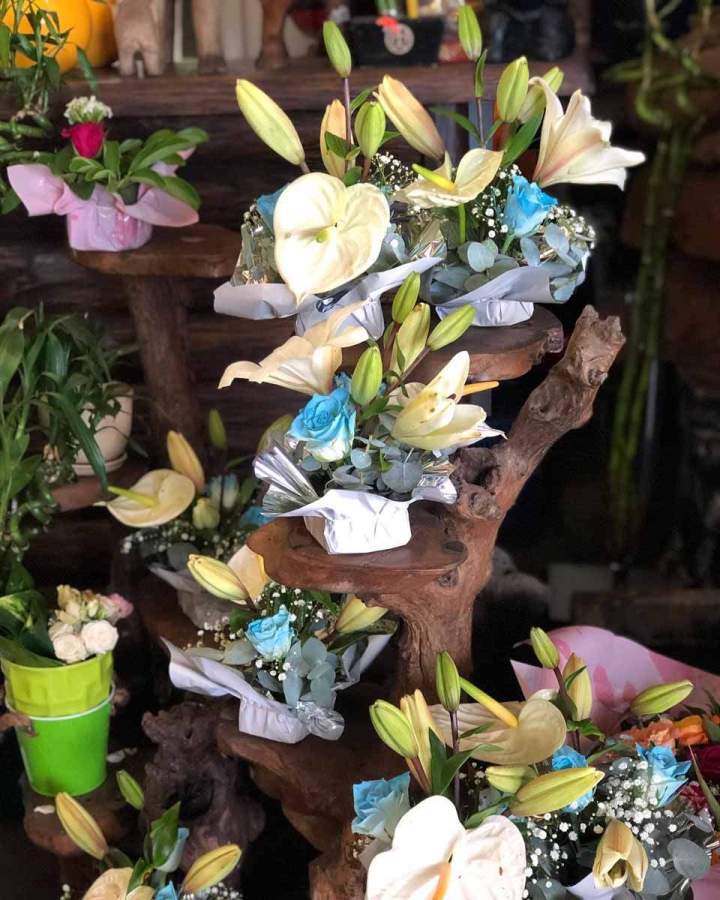 Compositions florales en pots Saint-Pierre