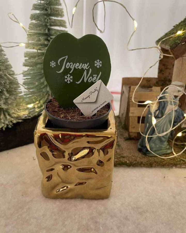 Pot de fleurs décoratif pour Noël Saint-Pierre