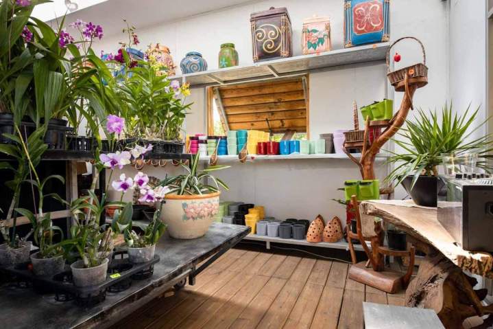 Boutique d'orchidées et d'articles de jardinage Saint-Pierre