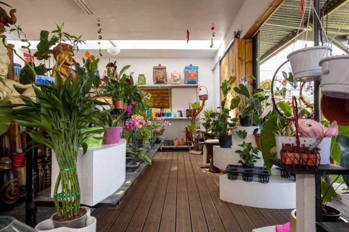 Intérieur du magasin de fleurs Saint-Pierre