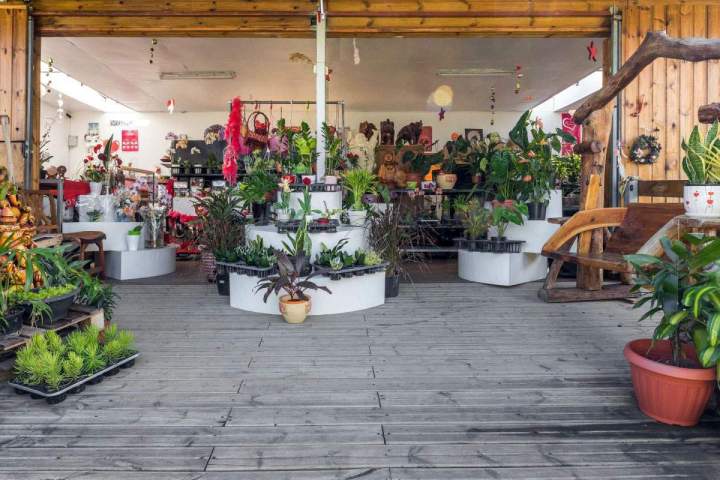 Jardinerie Saint-Pierre