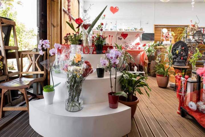 Intérieur de la jardinerie Saint-Pierre