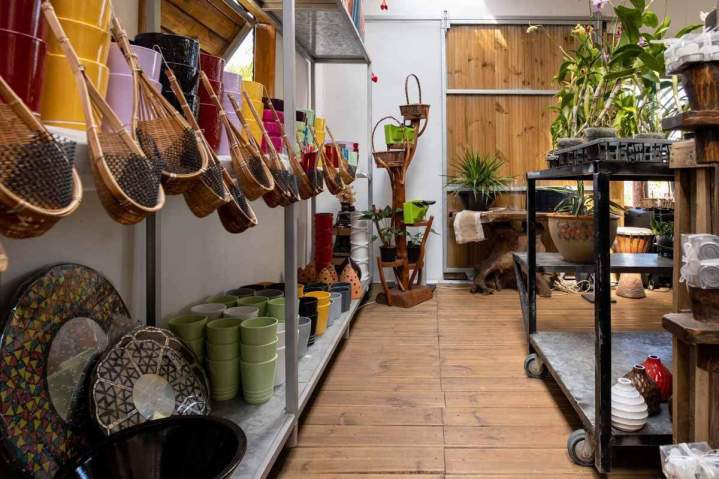 Plantes et accessoires pour le jardinage Saint-Pierre