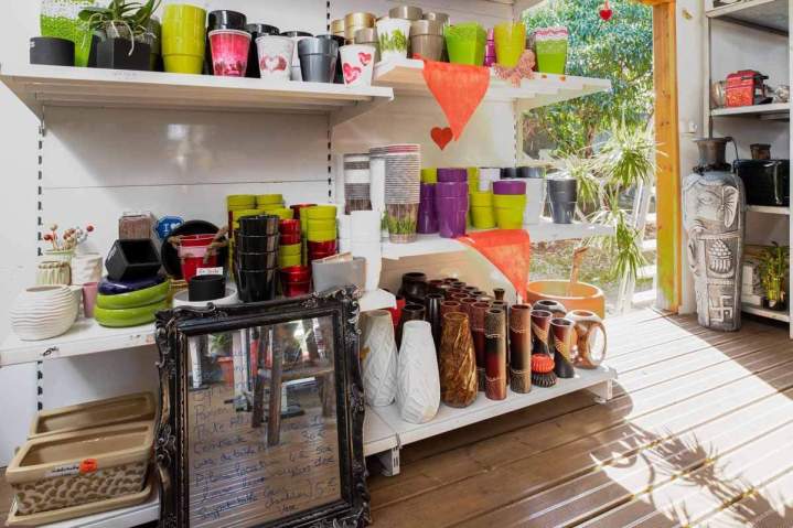 Assortiment de pots de fleurs et de vases Saint-Pierre