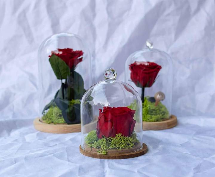 Rose éternelle Saint-Pierre