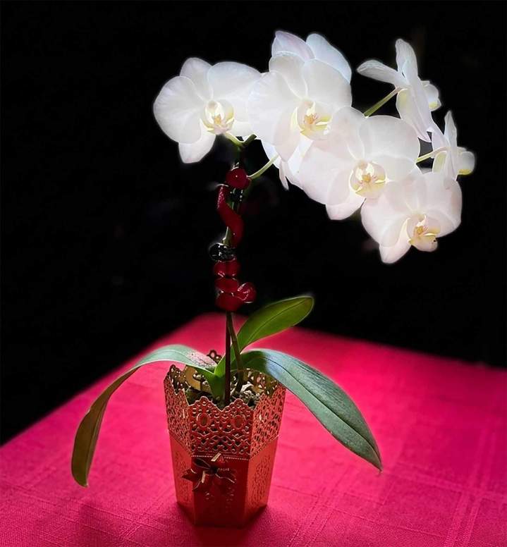 Fleurs artificielles Saint-Pierre